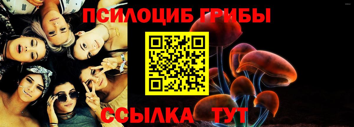 Рузаевка  Псилоцибиновые грибы MAGIC MUSHROOMS  Вход с VPN  Галлюциногенные грибы мухоморы 